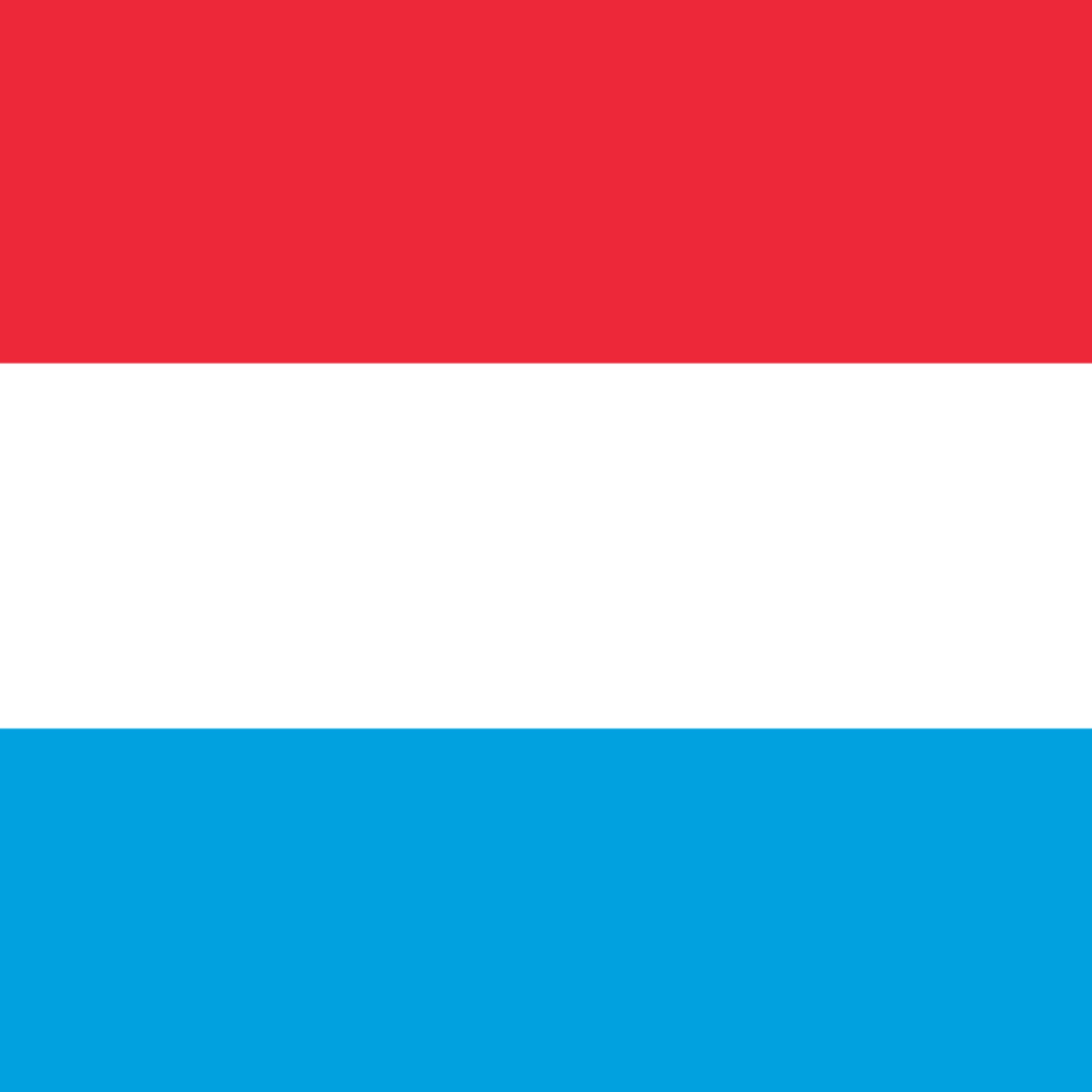 Honorary Consulate of Luxembourg (Alicante) 